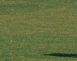 Banner_120